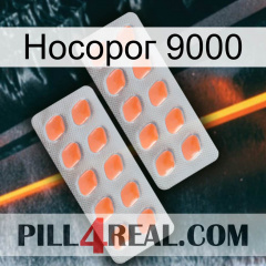 Носорог 9000 27